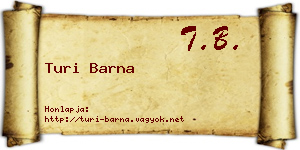 Turi Barna névjegykártya
